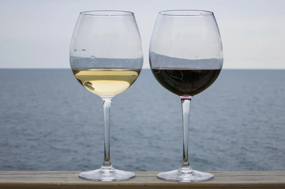 White Wine Serving Temperature Guide: From Fridge-Cold to Cellar-Cool